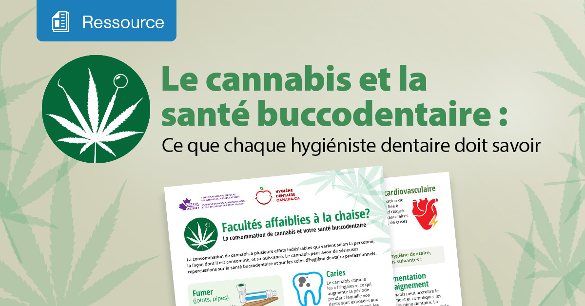 Cannabis
