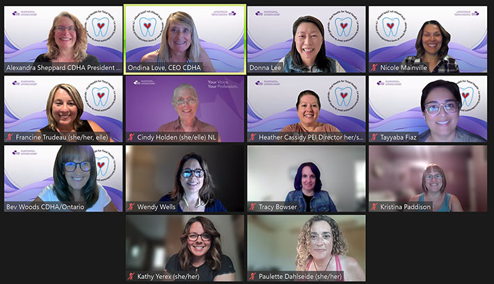 Image of members of the CDHA board in an online call