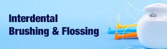 Practice Tool for Interdental Brushing and Flossing